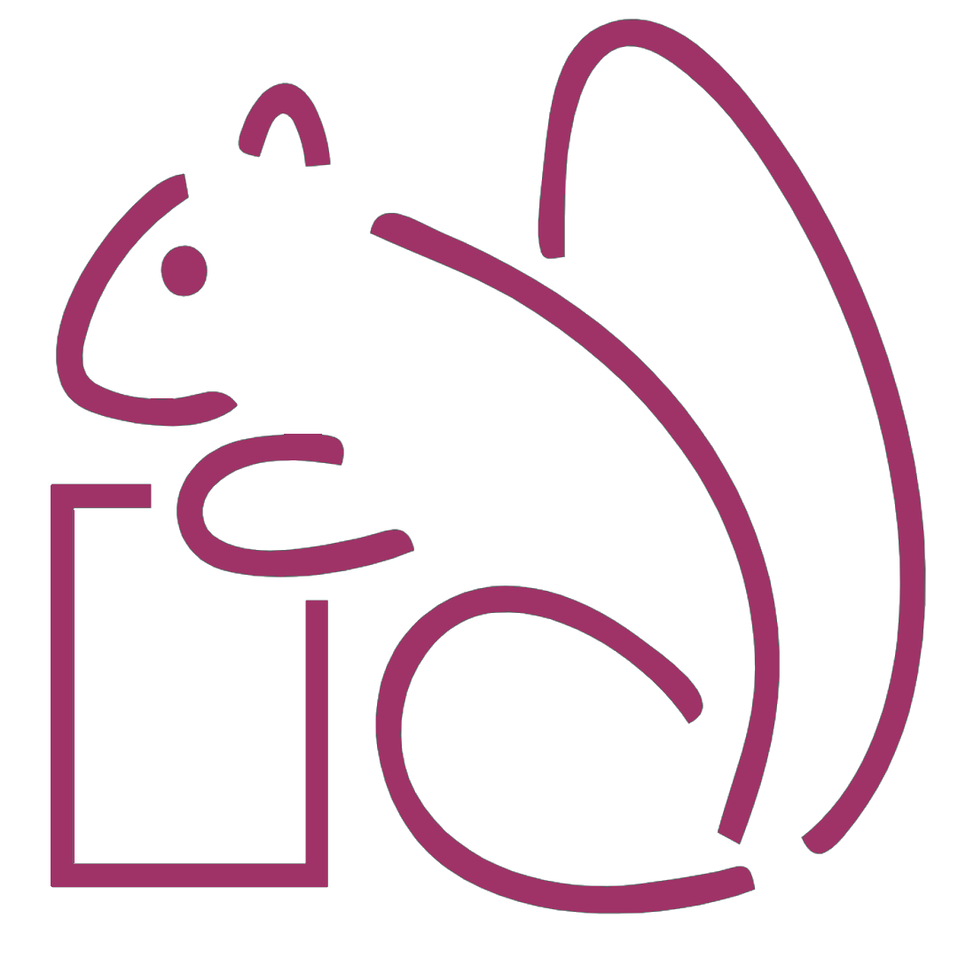 Logo fiches